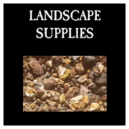 catalog